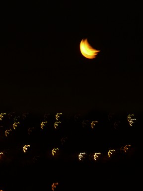  I love the way that this photo appears to show movements of light, and three moons